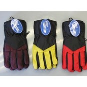 Ladies Ski Gloves