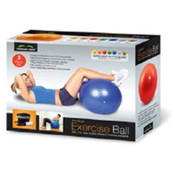Exercise Ball With Pump &amp; Carry Bag