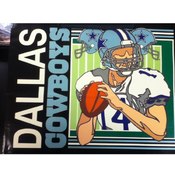 13" Tote Gift Bag Dallas Cowboy