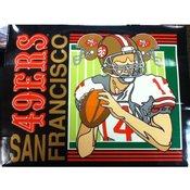 13" Tote Gift Bag San Francisco 49ers