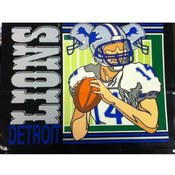 13" Tote Gift Bag Detroit Lions