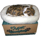 Life-like Breathing Cat -  Desert Lynx