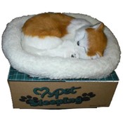 Life like breathing cat-Turkish Van cat