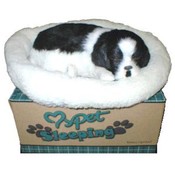 Life-Like Breathing Border Collie