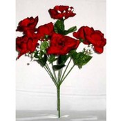 Raindrop silk open rose bush x 7