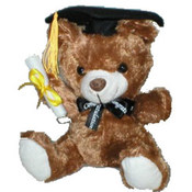 8.5" Graduation brown Bear with Music