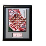 2009 Philadelphia Phillies 11x14 Deluxe Frame