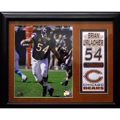 Brian Urlacher Chicago Bears Stat Photo Frame
