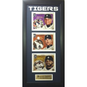 Detroit Tigers 15"x35" Deluxe Photo Frame