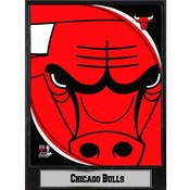 NBA Plaque- 2011 Chicago Bulls Logo