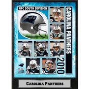2010 Carolina Panthers 9X12 Plaque
