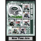 2010 New York Jets 9X12 Plaque