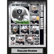 2010 Oakland Raiders 9x12 Stat Plaque