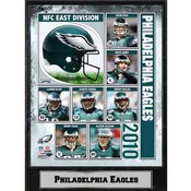 2010 Philadelphia Eagles 9x12 Stat Plaque