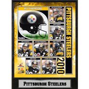 2010 AFC Champions Pittsburgh Steelers 9X12 Plaque