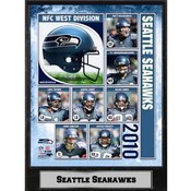 2010 Seattle Seahawks 9x12 Stat Plaque