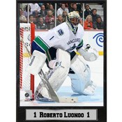 Vancouver Canucks Roberto Luongo 9x12 Photo Plaque