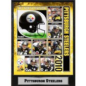 2010 Pittsburgh Steelers 9X12 Plaque