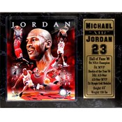 Michael Jordan 12X15 Stat Plaque