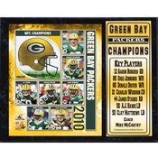 2010 NFC Champions GreenBayPackers 12X15 Stat Plaq