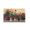Kathleen'S Geraniums Canvas Art, 20.5" X 36"