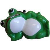 Frog AM Radio