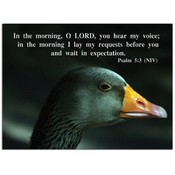 Wait on the Lord - 5" X 7" Flat Card