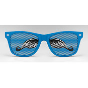 The French Mustache Sunglasses