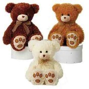 15" 3 Asst. Cuddle Curly Bears
