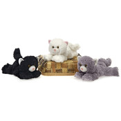9" 3 Assorted Floppy Bean Bag Cats