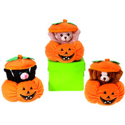 5.5" 3 Asst. Animals In Pumpkin