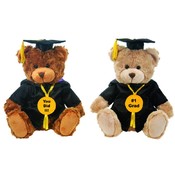 10" 2 Assorted Sitting Graduation Bears