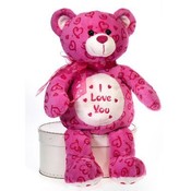 12" Sitting B/B Heart Print Valentine Bear