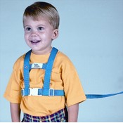 Deluxe Security Harness Assorted Colors