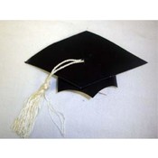 Graduation Party Favor Table Top Caps