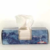 Eilat Facial Tissue