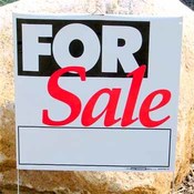 Plastic Lawn Sign 14" x 16"  - "For Sale"
