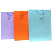 Solid Large Gift Bag Assorted