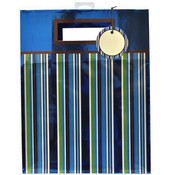 Large Metallic Foil Stripe Gift Bag 12.75"x10"