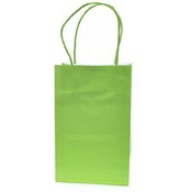 Tall Small Light Green Gift Bag 8.5"x5"