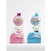 Baby Bear in a Decorative  Baby Box