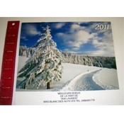 2011 Misprint Monthly Calendar