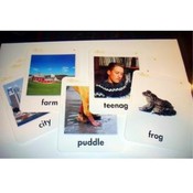 Rigby Grade 2 Educational English Picture Cards
