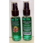Simply Basic Melon Delight 2 Oz. Body Mist Spray