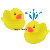 Fountain Duck