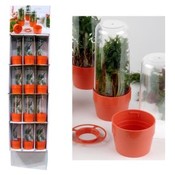 Asparagus / Herb Saver