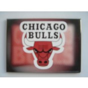 Chicago Bulls Magnets