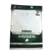 Men's "V" Neck T-shirt