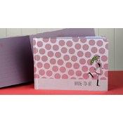 Bridal Shower Guest Book
