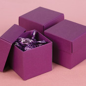 Grapevine 2 piece Favor Boxes